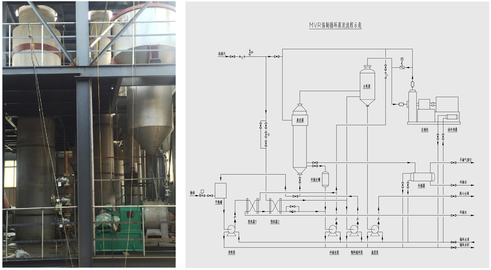 16904542006522.jpg 4.jpg